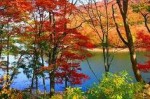 images6544 (3)