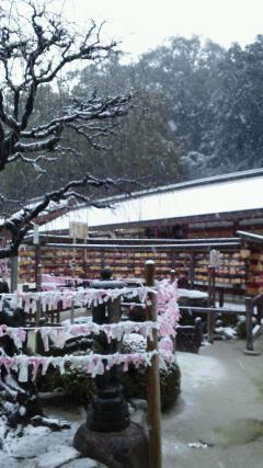 dazaifu temmamgu 